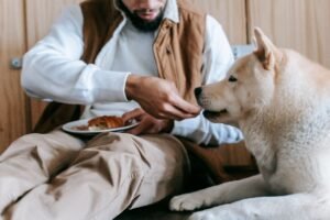 guia de alimentação de cães por fase de vida
